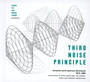 Third Noise Principle ~ Formative North American Electronica - V/A