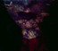 Fierce - Hante