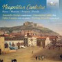 Neapolitan Cantatas - V/A