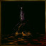 When A Shadow Is Forced Into The Light - Swallow The Sun When A Shadow Is Forced Into The Light - Swallow The Sun