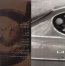 Gone To Earth - David Sylvian - powiększ Gone To Earth - David Sylvian