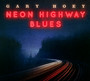 Neon Highway Blues - Gary Hoey