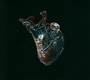 Guardians Of The Heart Machine - Seamus Blake