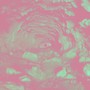 Cave Ritual Redux - Al Lover