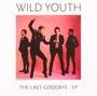 Last Goodbye - Wild Youth
