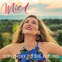 Surrender To The Feeling - Miel De Botton 