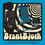 Keep Your Cool - Brant Bjork
