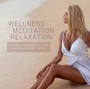 Wellness Meditataion Rela - V/A