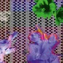 Weaponise Your Sound - Weaponise Your Sound  /  Various