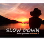 Slow Down Ibiza Grooves 2 - V/A