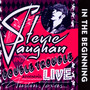 In The Beginning - Stevie Ray Vaughan 