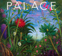 Life After - Palace