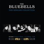 The Singles Collection - The Bluebells