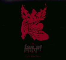 Night Raider - Crippled Black Phoenix - bigger Night Raider - Crippled Black Phoenix