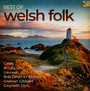 Best Of Welsh Folk - Best Of Welsh Folk  /  Various