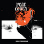 Burn Your Dead - Year Of The Cobra