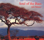 Soul Of The Bass - John Patitucci