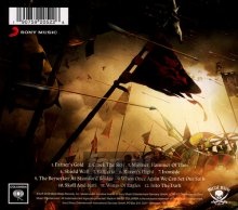 Berserker - Amon Amarth