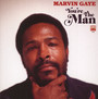 You're The Man - Marvin Gaye