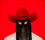 Pony - Orville Peck Pony - Orville Peck