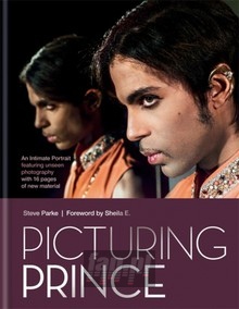 Picturing Prince - Prince