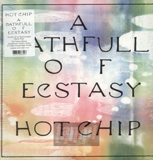 A Bath Full Of Exstasy - Hot Chip