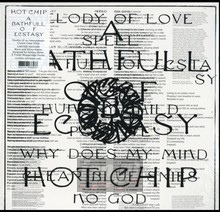 A Bath Full Of Exstasy - Hot Chip