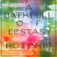 A Bath Full Of Exstasy - Hot Chip