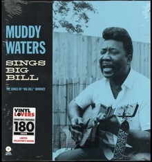 Sings Big Bill - Muddy Waters
