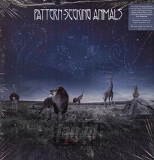 Pattern-Seeking Animals - Pattern-Seeking Animals