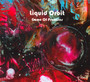 Game Of Promises - Liquid Orbit