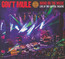 Bring On The Music - Gov't Mule