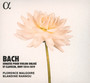 Bach: Sonaten Fuer Violine & Cembalo, BWV 1014-1019 - Florence Malgoire / Blandine Rannou