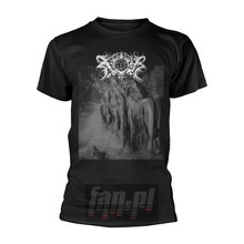Xasthur _TS80334_ - Xasthur