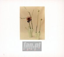 Flower & Vessel - Felicia Atkinson