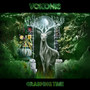 Grasping Time - Vokonis
