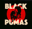 Black Pumas - Black Pumas