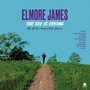 Sky Is Crying - Elmore James