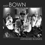 Unfinished Business - Andy Bown