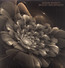 Bloom Ascension - Steve Roach