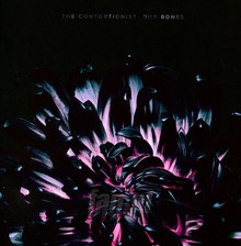 Our Bones - Contortionist