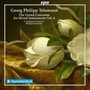 Grand Concertos For Mixed - G.P. Telemann