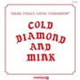 Here Today, Gone Tomorrow - Cold Diamond & Mink