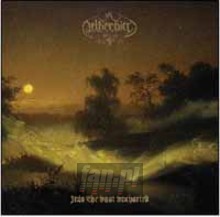 Into The Vast Uncharted - Netherbird