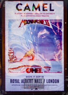 At The Royal Albert Hall - Camel