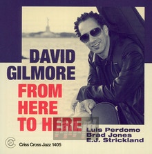 From Here To Here - David Gilmore - bigger From Here To Here - David Gilmore