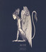 Spiritual Instinct - Alcest