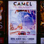 At The Royal Albert Hall - Camel