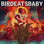 The World Conspires - Birdeatsbaby