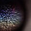 Blossoms - Emptyset
